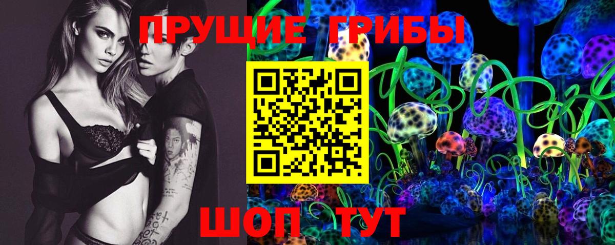 Галлюциногенные грибы GOLDEN TEACHER Нововоронеж