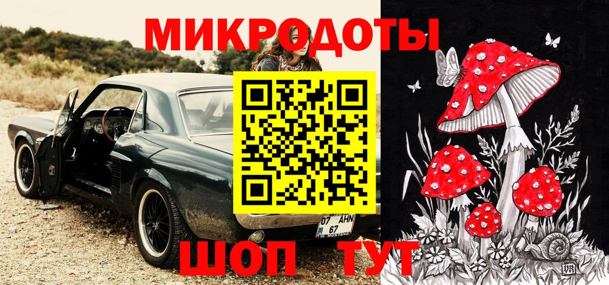 Нововоронеж  Псилоцибиновые грибы мицелий  Псилоцибиновые грибы MAGIC MUSHROOMS  Вход с VPN 