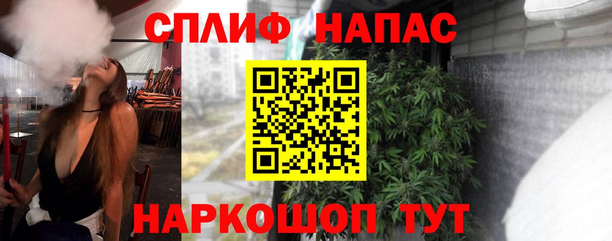 Марихуана семена  Вход с VPN  Нововоронеж  Бошки Шишки SATIVA & INDICA 